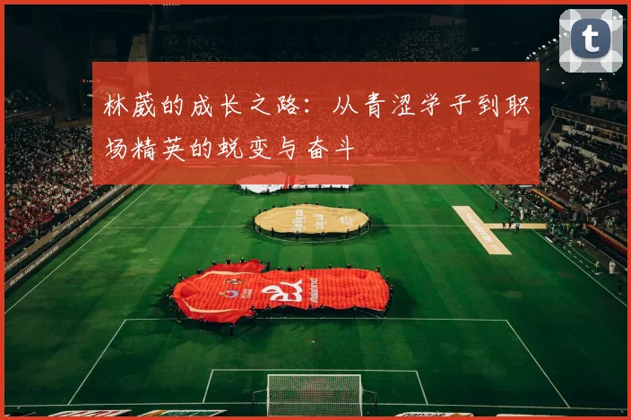林葳的成长之路：从青涩学子到职场精英的蜕变与奋斗